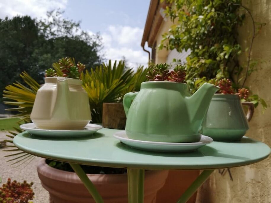 jardin de la chambre d’hôte dans le var avec piscine